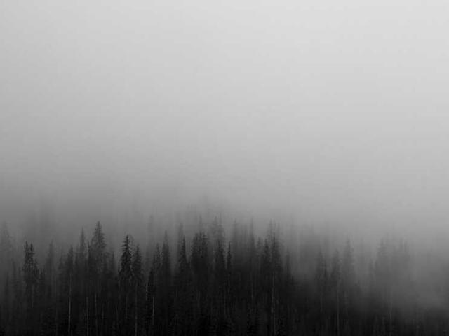 Arne