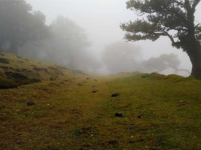 Dagmar