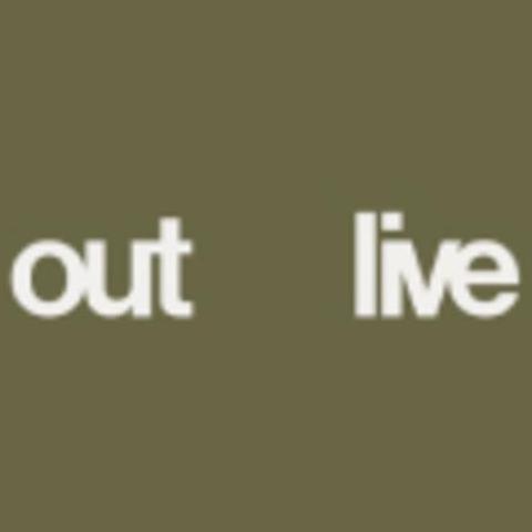 Outlive Seo