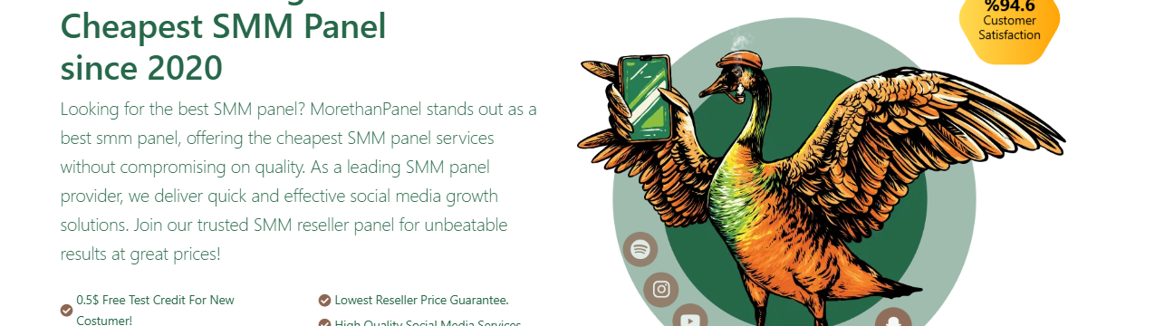 MoreThanPanel Official
