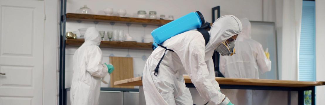 The Pest Control