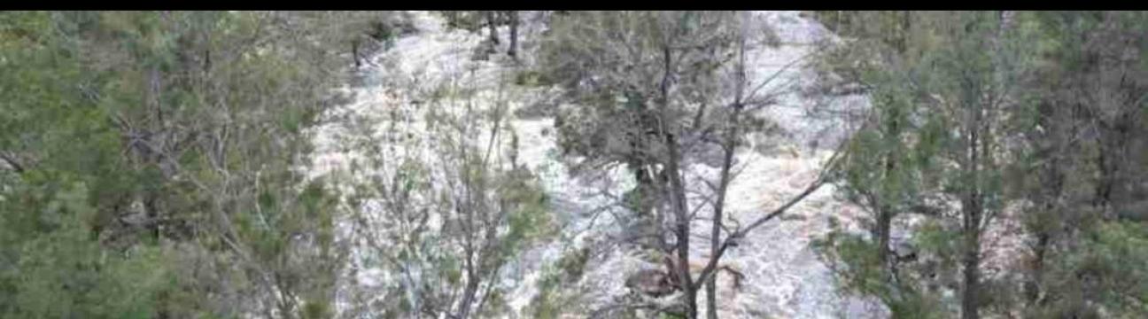 Ninox Environmental Monitoring