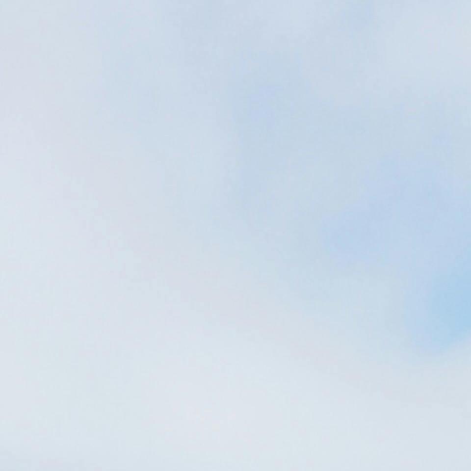 Assetz  Bloom And Dell