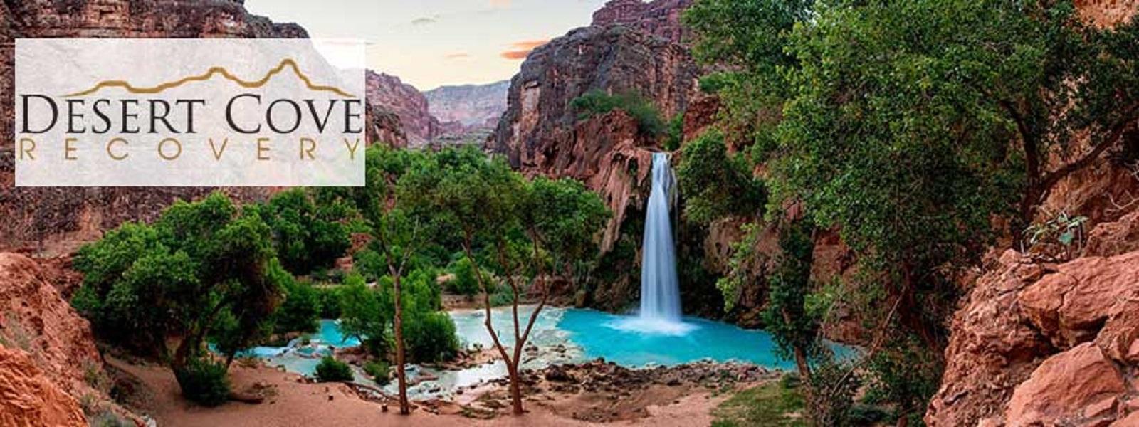 Desert Cove  Recovery