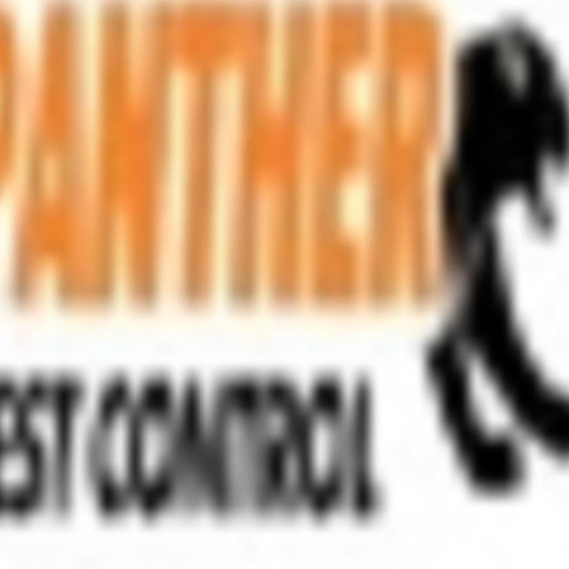 Pest Control Bristol