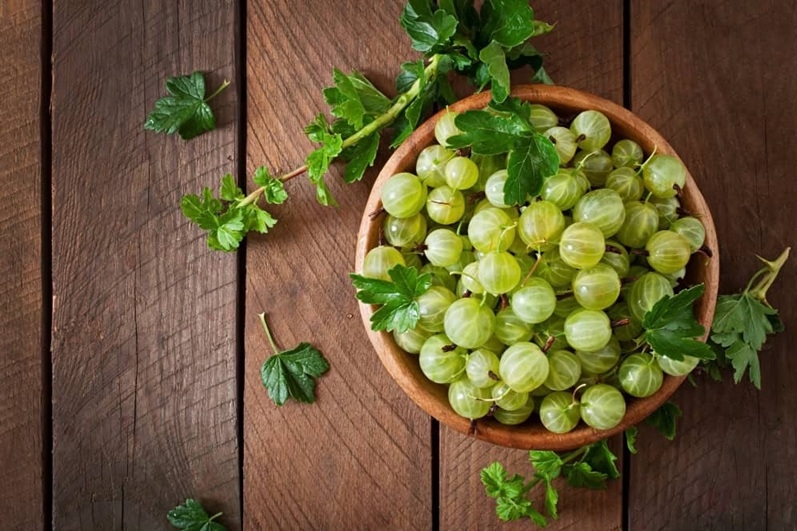 Ayurveda Expert Reveals Time-Tested Superfoods Turned Modern Nutraceutical Powerhouses 🌿✨