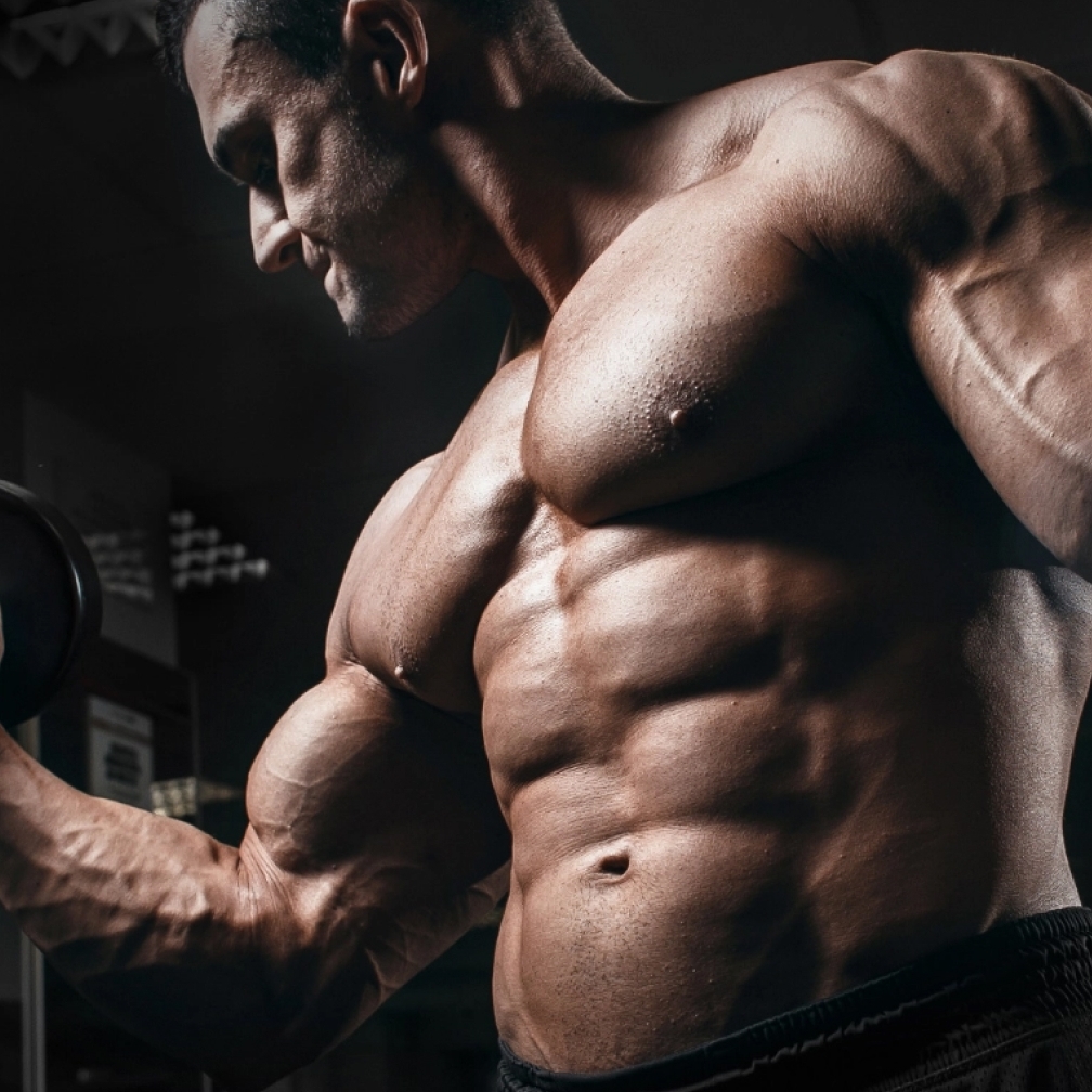 Pharmaqous1 Pharmaqous1