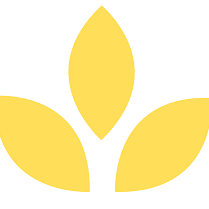 Lifeline Rehab