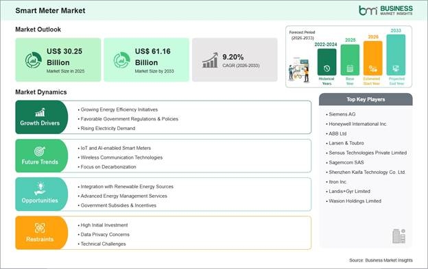 Smart Meter Market Strategic Framework