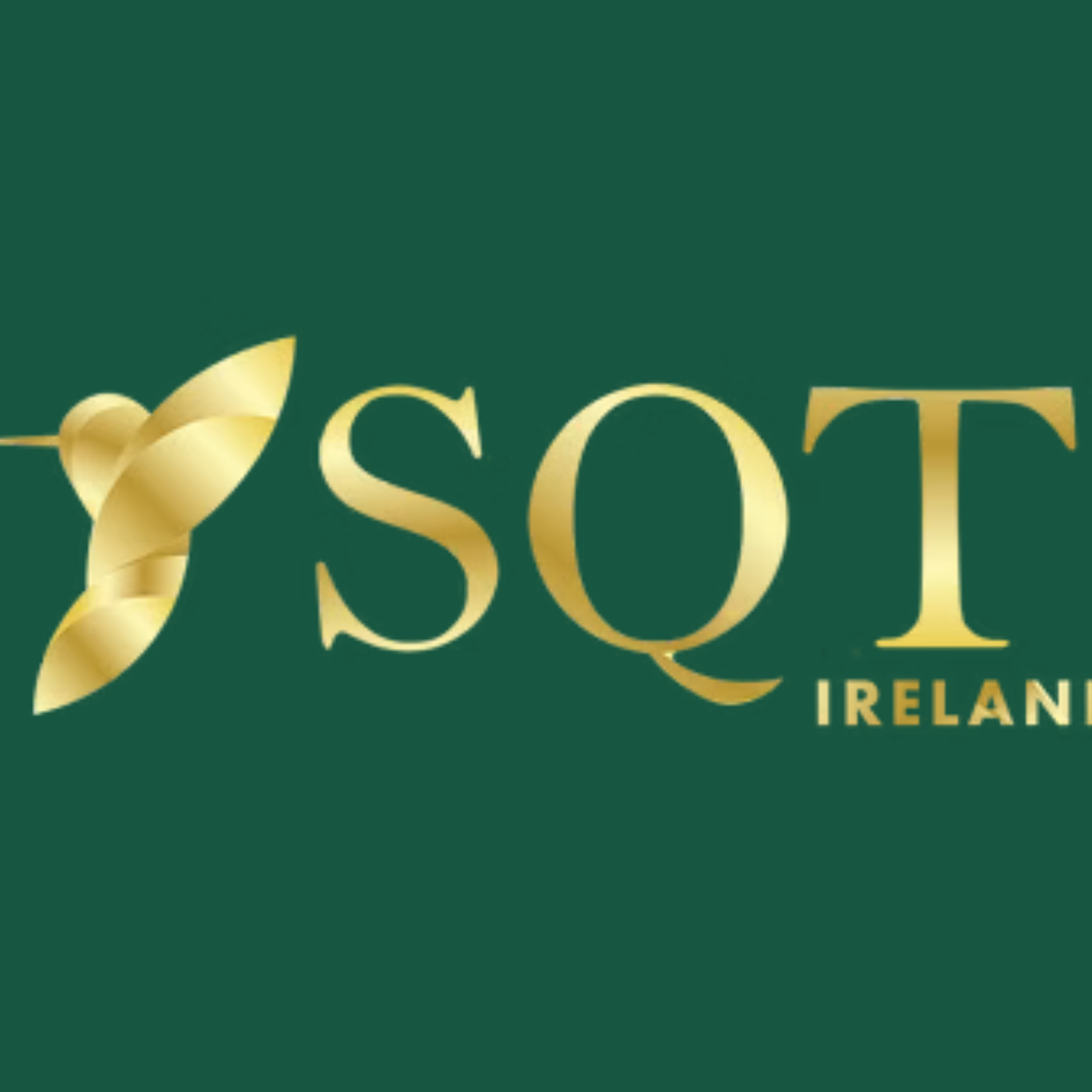 Sqtireland Dublin
