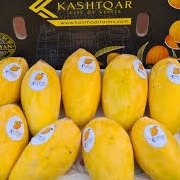 Mango Companies