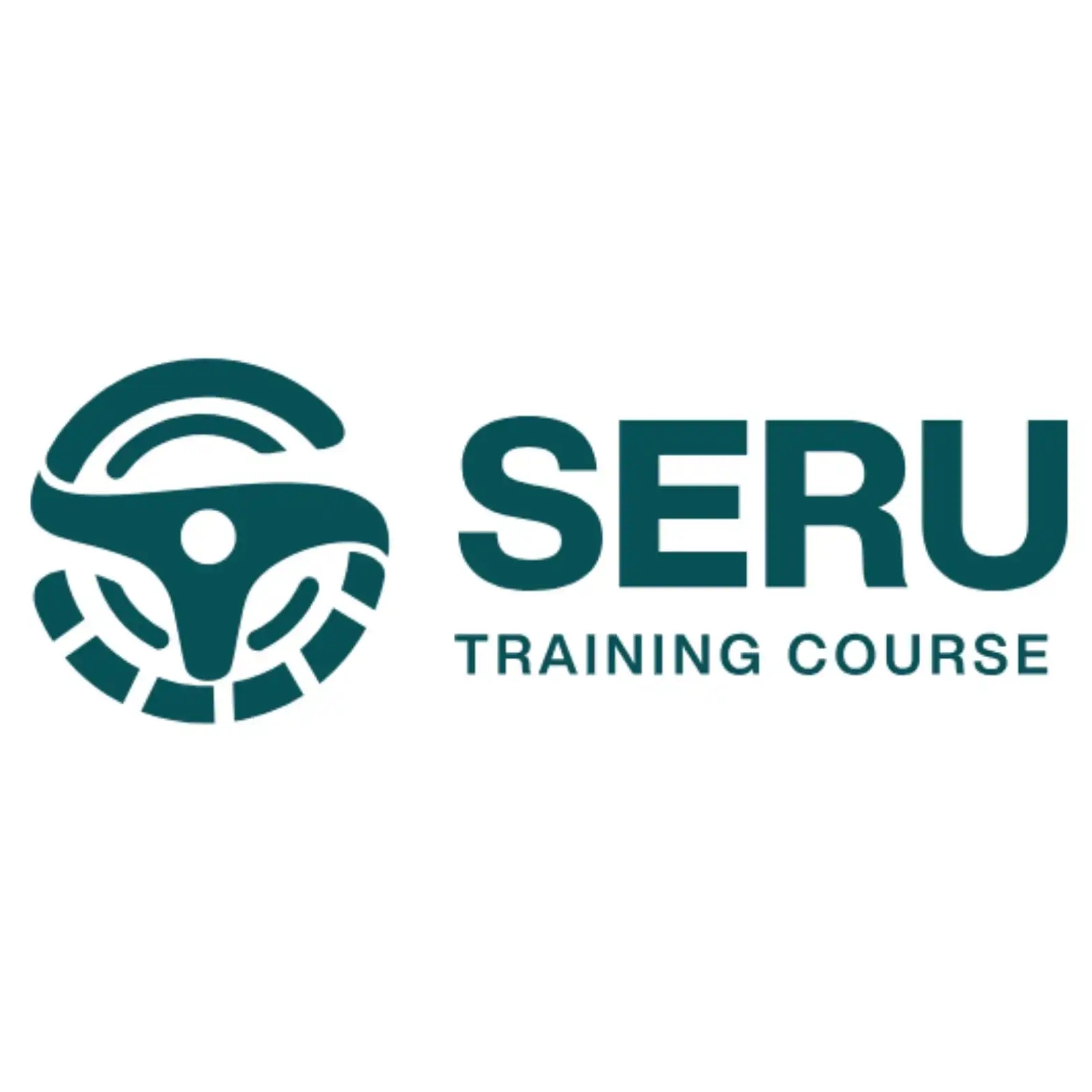 Seru Course