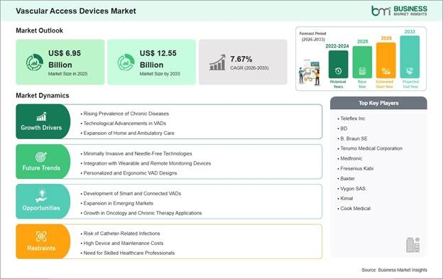 Vascular Access Devices Market Strategic Framework